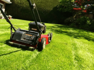 tagliare l'erba